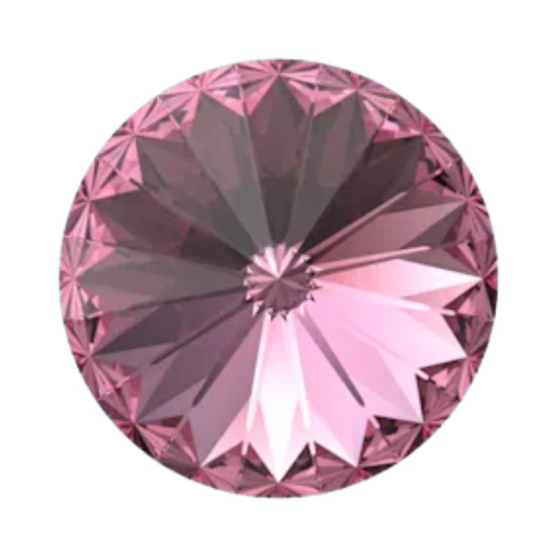 Rose F (209)