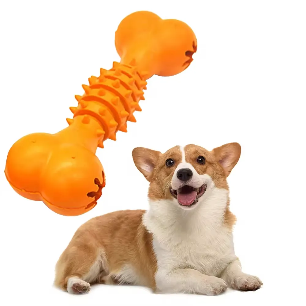 Fabrika doğrudan özel Pet oyuncak köpek diş fırçası dayanıklı kauçuk çiğnemek köpek kemikleri
