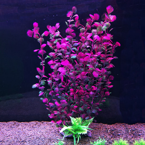 Plantas de pecera artificiales de 52cm, pecera, paisajismo, plantas acuáticas, accesorios para acuarios - Product Image 4