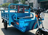 Tricycle électrique multifonctionnel à quatre roues, pour la vente ambulante, le transport de marchandises en ascenseur et l'entreposage