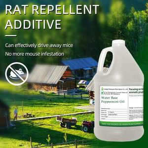 Масло перечной мяты, пищевое и сертифицированное Халяль, эфирное масло пепппермяты, оптом для капсул и волос, индивидуальное обслуживание, поставка с завода - Product Image 3