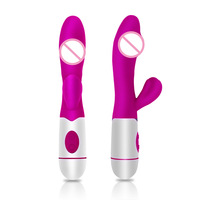 Vibromasseur clitoridien Lumi G Spot Rabbit Wand, stimulateur clitoridien, masseur, double moteur, dildo, jouet sexuel pour femmes, 100% étanche, 10 fréquences