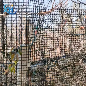 मकई भंडारण फार्म बाड़ कृषि फसल भूमि बाधा अनुकूलित रंग प्लास्टिक जाल के लिए पीपी द्विअक्षीय जियोग्रिड