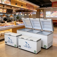 Congélateur horizontal à température unique pour la maison, 150l, 200l, 250l, 350l