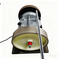 Affûteur de couteaux électrique portable de qualité industrielle de 10 pouces avec meuleuse à eau de 200 W pour outils et cuisine