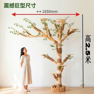 <span class=keywords><strong>Arbre</strong></span> à <span class=keywords><strong>chat</strong></span> de luxe en bois massif, structure d'escalade pour <span class=keywords><strong>chat</strong></span> avec lit intégré, pour l'auto-entretenissement du <span class=keywords><strong>chat</strong></span>, durable - Product Image 3
