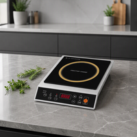 Kompor Induksi Portabel 3500W Harga Pabrik, Satu Zona, Ringkas, Bahan Stainless Steel 220V untuk Dapur Rumah