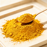 Poudre d'extrait de mangue séchée par pulvérisation, qualité alimentaire, soluble dans l'eau, pour boissons, pâtisseries, pigments et arômes, encre, Tide Biotech