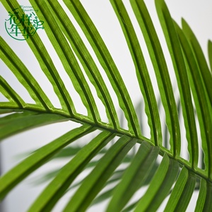 OH ARTS ต้นบอนไซเหล็กบราซิลจำลอง ขนาด 150 ซม. 3 กิ่ง แบบต้นเก่า ขายดี เหมาะสำหรับตกแต่งสวนในร่มและกลางแจ้ง - Product Image 4