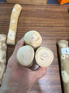 Jouet à mâcher pour chien en bois de café, naturel et biologique, durable, pour le nettoyage des dents, bâton à mâcher, fabrication directe d'usine OEM, Vietnam, taille M - Product Image 1