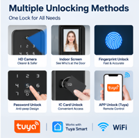 Serrure de porte numérique intelligente sans fil Wi-Fi avec caméra, biométrique, à empreinte digitale, pour la sécurité en gros