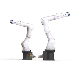 TIANJI China niedriger Preis 6 Achsen Rotation Roboter Handhabung Automation industrieller Roboterarm Hardware Verarbeitung Schweißen Roboter
