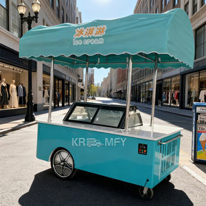 Chariot mobile de vente de glaces et de sucettes glacées pour l'extérieur, kiosque de vente de glaces italiennes, congélateur à vélo, 2025 - Product Image 5
