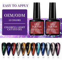 Fournitures professionnelles pour ongles en gros : Kit de vernis gel UV effet œil de chat, sans HEMA, 15 ml, magnétique, holographique, écologique, végétalien, en flacon