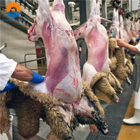 Solusi Rumah Potong Hewan (RPH) Terpadu untuk Domba, Rumah Potong Hewan (RPH) Kambing Halal, Peralatan Lini Pengolahan Daging, Mesin Khusus, Bersertifikasi CE