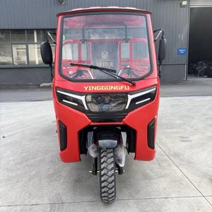 Tricycle KungFu <span class=keywords><strong>Tiger</strong></span>-Rui / Vente Flash / Tricycle à Trois Roues / <span class=keywords><strong>200cc</strong></span> / Tricycle à 3 Roues Droites / <span class=keywords><strong>Moto</strong></span> Tricycle / Alimentation à Essence / NOUVEAU 2026 - Product Image 1