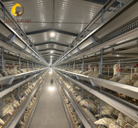 Cage à poules pondeuses de type H, nouvelle conception en acier galvanisé à chaud, spécialement conçue pour les fermes avicoles