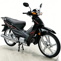 Motocyclette robuste 110cc UD110 HJ110-6 Underbone Cub pour l'Afrique avec suspension puissante et châssis en acier haute résistance