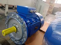 Moteur asynchrone industriel à induction triphasé GEXIN YE3-160M1-2 11KW 2 pôles 380V 50/60Hz, efficacité IE3, usage intensif, ISO