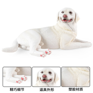 Modèle de simulation animale pour enfants yxs, jouet solide et grand Labrador Retriever, figurine cognitive de chien Corgi <span class=keywords><strong>Pomeranian</strong></span> - Product Image 4