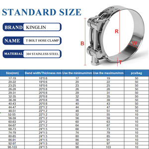 Kinglin alta calidad 304 316 T perno manguera abrazadera tubo acero inoxidable resistente resorte Acero inoxidable manguera abrazadera - Product Image 3