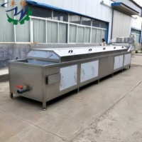 Fruit- en zeewierfrietjes, diepvriesgroenten en fruit was- en continu blancheringsmachine voor groenten