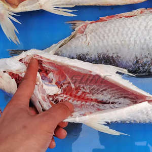 Máy Làm Sạch Cá Tất Cả Trong Một Công Nghiệp Máy Cắt Loại Bỏ Cá Tiêu Diệt - Product Image 5