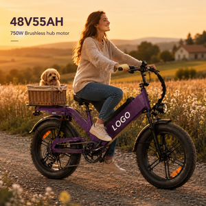 Bicicleta Eléctrica de Carretera 48V Vintage con Llantas Gruesas, 7 Velocidades, 20 Pulgadas, Cuadro de Aleación, Modelo D55, Bicicleta Urbana - Product Image 1