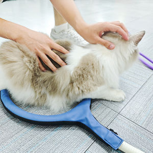 Skalet EMTT Veterinária Máquina de terapia magnética para gatos Cães Esportes Lesão Reparação Eletromagnética Dor Alívio Mãos Comerciais - Product Image 6