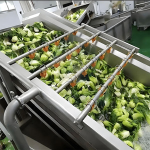 Máquina de Lavado de Frutas y Verduras Tipo Cepillo de Burbujas, Ahorradora de Energía, Comercial, para Plantas de Procesamiento de Verduras, Procesamiento de Maíz y Frutas - Product Image 3