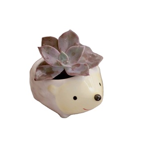 3 PCS सा जानवरों पर चीनी मिट्टी गमला सुअर हाथी हाथी बोने की मशीन बिक्री प्यारा रसीला पौधों के फूल के बर्तन - Product Image 2