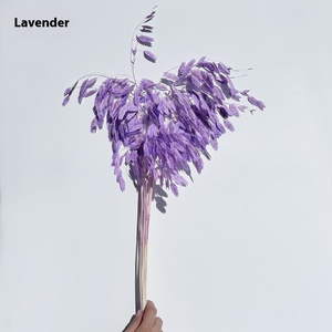 Fleurs Éternelles Petite Espoir <span class=keywords><strong>LYP</strong></span> Bouquet Naturel de Pampas Séchées Longue Durée Saint-Valentin Pâques Noël Fête des Mères - Product Image 2