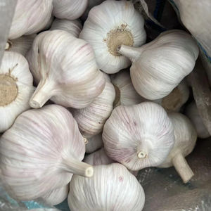 Nuevo cultivo rojo fresco sin pesticidas <span class=keywords><strong>ajo</strong></span> al por mayor mejor calidad precio asequible Ail <span class=keywords><strong>Ajo</strong></span> Fresco semillas de <span class=keywords><strong>ajo</strong></span> <span class=keywords><strong>para</strong></span> plantar - Product Image 4