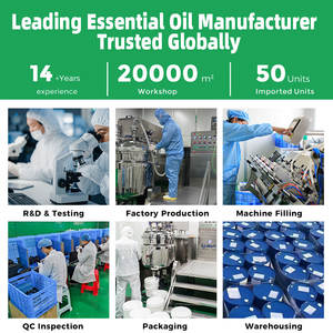 Óleo de <span class=keywords><strong>Amla</strong></span> Indiano 100% Puro, Fornecedor OEM a Granel, Óleo Base/Óleo Carreador Orgânico de Semente de Phyllanthus Prensado a Frio 1kg - Product Image 2