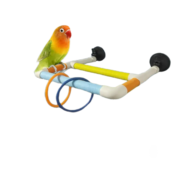 Multifunctional PVC Bird Stand for Glass/Tile/Marble Surfaces No-Drill Bird Perch with Suction Cup Bird Supplies