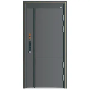 门制造商优质钢门各种尺寸入口门，包括全套锁
