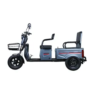 2024 Dual-Purpose Electric Vehicle With Integrated Battery Foldable Rear Box Rear Differential Hub Motor For Passenger Cargo