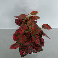 Petit bonsaï artificiel, plante Hypoestes Phyllostachya, herbe à pois rouges, faux Fittonia en pot de 45 cm pour la décoration de table d'hôtel ou de maison