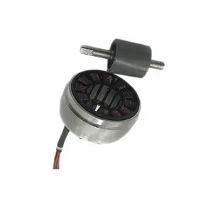 Motor BLDC 4220BL, 42mm 5000rpm dengan pengontrol eksternal untuk pompa perangkat autatif dan medis