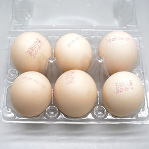 Vente <span class=keywords><strong>en</strong></span> <span class=keywords><strong>gros</strong></span> d'usine, emballage sous blister, boîte à œufs <span class=keywords><strong>en</strong></span> CPET transparente réutilisable de qualité alimentaire à 6 compartiments pour œufs de 50 à 60 g - Product Image 5