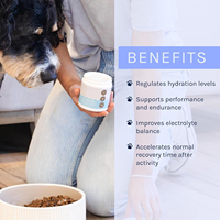 Poudre d'électrolyte d'hydratation rapide OEM/ODM pour chiens-Formule vétérinaire, arrête la déshydratation due à la diarrhée, aux vomissements et à la chaleur
