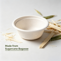 Bol jetable en bagasse de canne à sucre avec couvercle, récipient alimentaire compostable et biodégradable en pulpe, logo et taille personnalisables disponibles