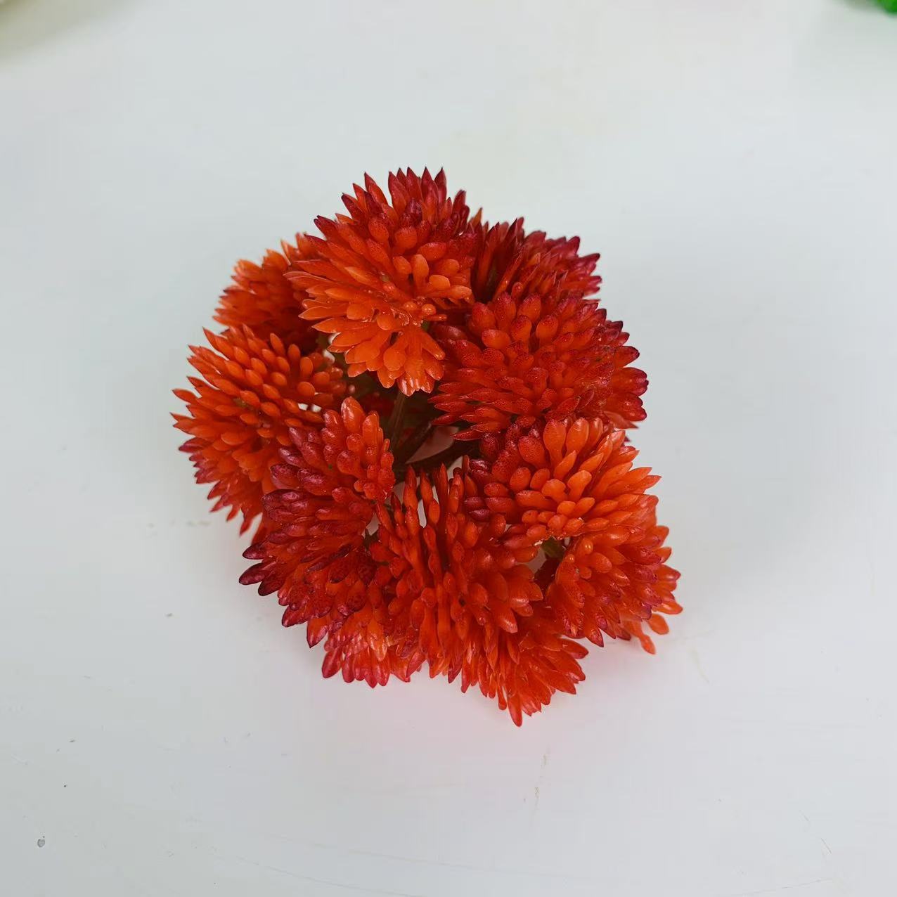 Rojo
