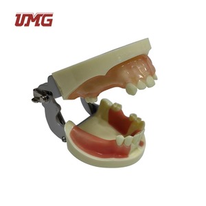 Modelo de Práctica de Implantes Dentales UMG UM-2003 con Encía Suave para Prácticas de Corte, Sutura e Implantes, Certificado CE - Product Image 6