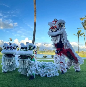 वयस्कों के लिए मंच प्रदर्शन वेशभूषा शेर नृत्य पोशाक - Product Image 4