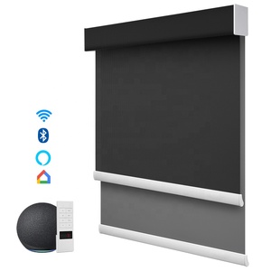 Động cơ màn Con lăn Rèm cho khách sạn đôi cửa sổ Rèm cho cửa sổ ngày và đêm mù biệt thự Con lăn Shades <span class=keywords><strong>Zebra</strong></span> rèm - Product Image 5