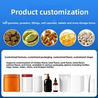 Friandises à Mâcher Probiotiques Marque Blanche, Probiotiques Naturels de Qualité Alimentaire pour Chiens, Complément pour la Santé Intestinale, OEM ODM