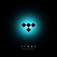Compte d'abonnement Premium Tidal Music Hifi Plus de 12 mois en stock
