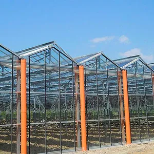Skyplant Venlo temperli cam sera yüksek verimli güneş serası satılık