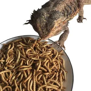 Minhocas secas de refeição congelada, minhocas reptilhas de pássaro, alimentos comestíveis, inseto amarelo, minhoca - Product Image 1